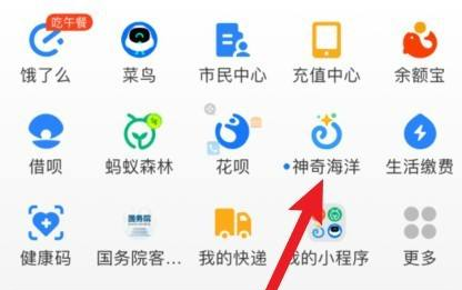 神奇海洋怎么快速升級 神奇海洋快速升級攻略方法分享