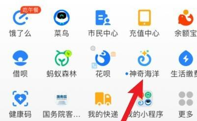 神奇海洋重復拼圖有什么用 神奇海洋重復拼圖怎么用