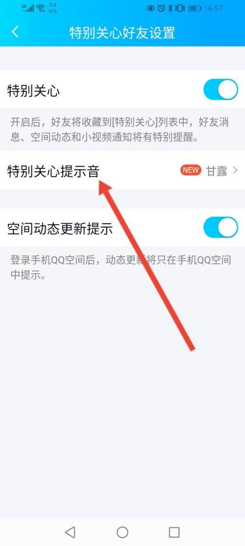 qq特別關心提示音怎么改
