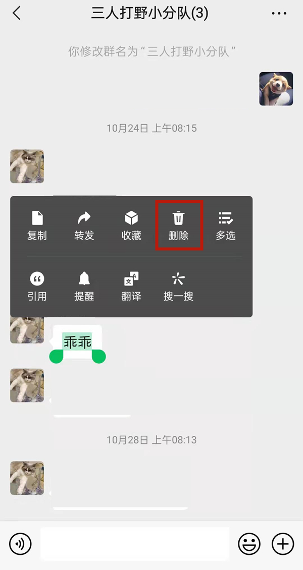 微信群群主可以刪除別人發的信息嗎