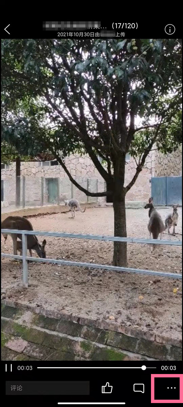 qq空間相冊視頻怎么保存到手機