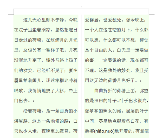 wps一分為二中間為豎虛線怎么弄?