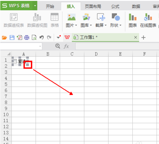 wps復選框怎么設置打勾？