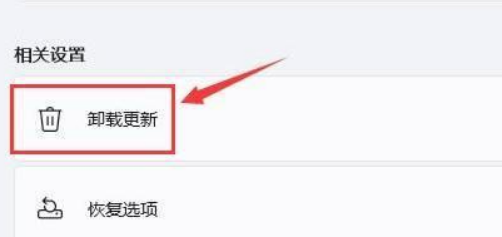 Win11突然黑屏怎么辦?Win11突然黑屏解決方法