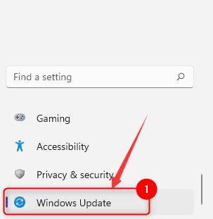 win11怎么更新系統(tǒng) win11升級修復更新系統(tǒng)教程