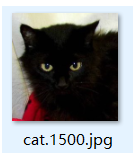 Python機器學習之基于Pytorch實現貓狗分類