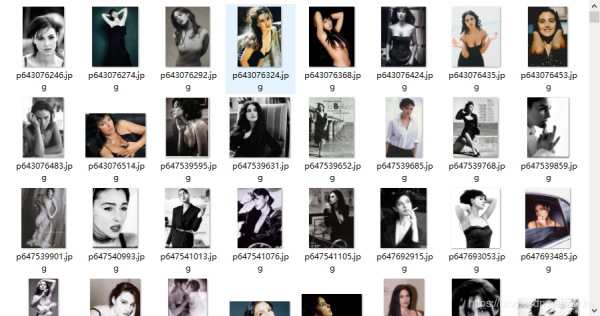 Python爬蟲(chóng)實(shí)戰(zhàn)之使用Scrapy爬取豆瓣圖片