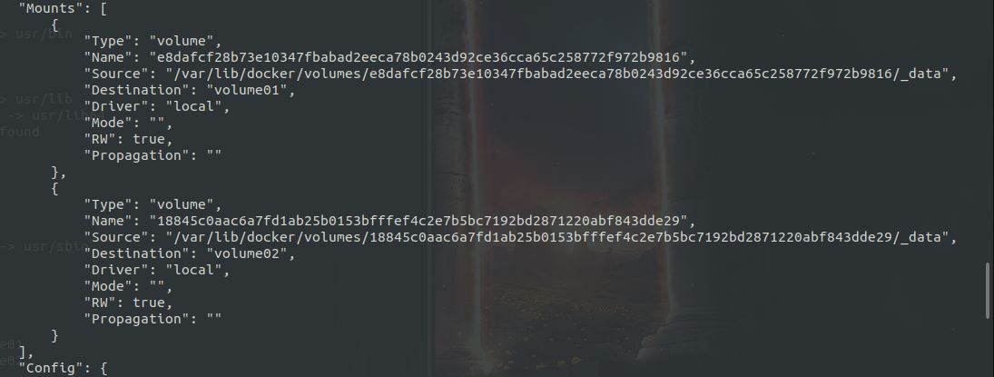 Python開發(fā)加薪利器之Docker的使用實踐