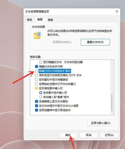 Win11怎么顯示文件后綴名？Win11顯示文件后綴名操作方法