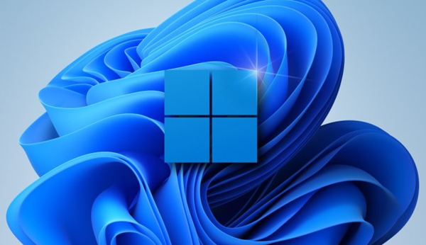 Win11如何查看隱藏項目？Win11查看隱藏項目的方法