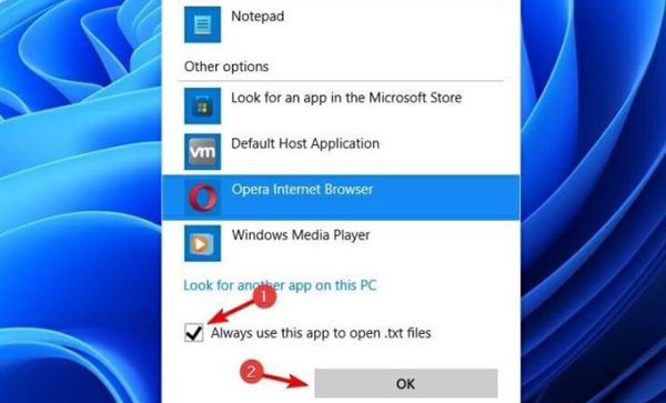 Win11如何更改默認打開方式？Win11更改默認打開方式的方法