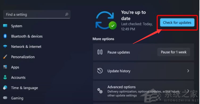 Win11顯卡驅動怎么升級？Win11更新顯卡驅動教程