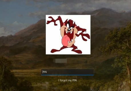 Win11賬戶動態頭像怎么設置？Win11賬戶動態頭像設置教程
