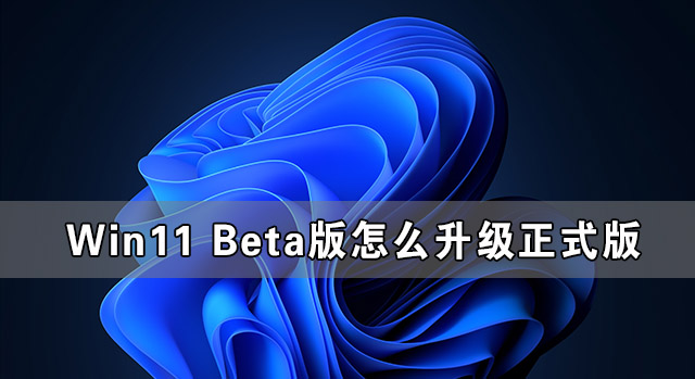 Win11 Beta版怎么升級正式版 Win11 Beta版轉正式版的方法