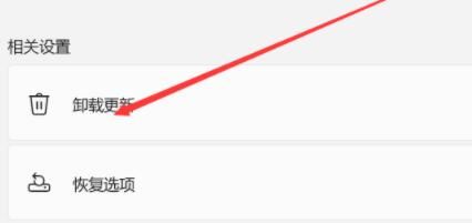 Win11資源管理器自動重啟怎么辦？Win11資源管理器自動重啟的解決方法