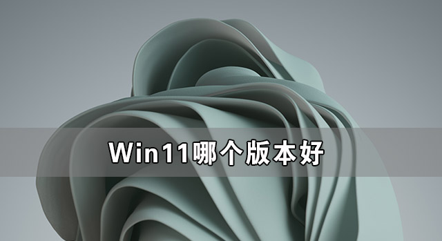 Win11哪個版本好 Win11哪個版本的系統最好