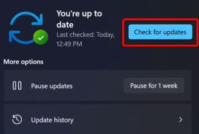 Win11更新卡在0%怎么辦？Win11更新卡在0%解決方法
