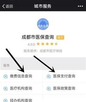 不用關注，微信直接查詢社保（醫保）余額/繳費
