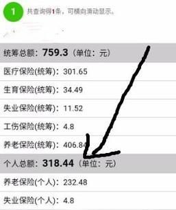 不用關注，微信直接查詢社保（醫保）余額/繳費