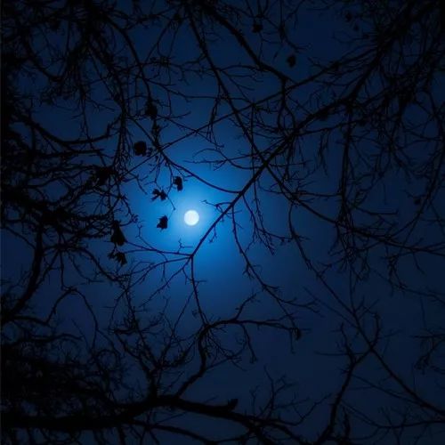 2020最流行微信頭像:成熟穩重的男生頭像大全!