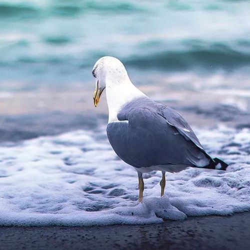 2020最流行微信頭像:成熟穩重的男生頭像大全!