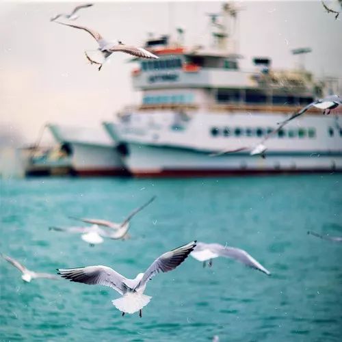 2020最流行微信頭像:成熟穩重的男生頭像大全!