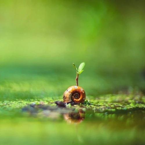 2020年最流行的微信頭像!美美噠的頭像趕緊換起來!