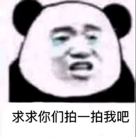 微信拍一拍可以加后綴嗎？當然！創(chuàng)意搞笑后綴弄起來！
