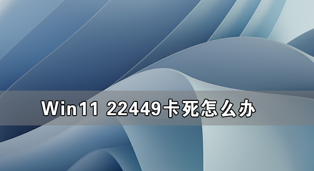 Win11 22449卡死怎么辦 Win11 22449卡死的解決方法