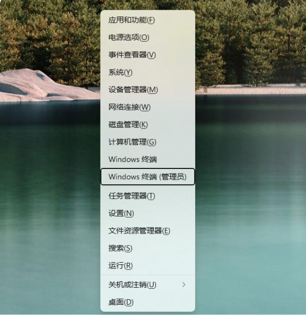 Win11應用商店還是舊版的怎么辦 Win11應用商店怎么更新到新版