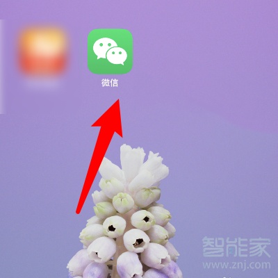 蘋果微信免密支付怎么取消