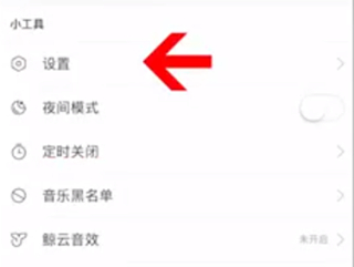 蘋果手機網(wǎng)易云怎么設(shè)置桌面歌詞