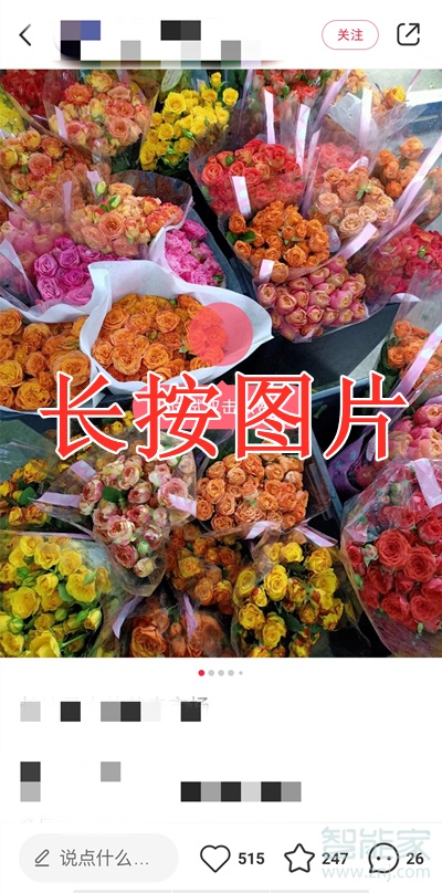 小紅書app里的圖片怎么保存