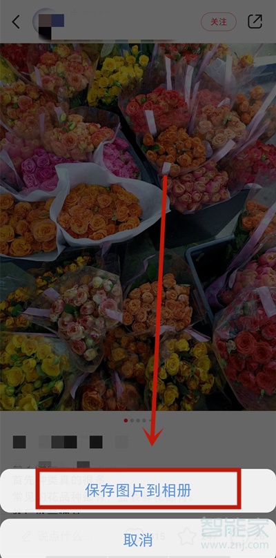 小紅書app里的圖片怎么保存