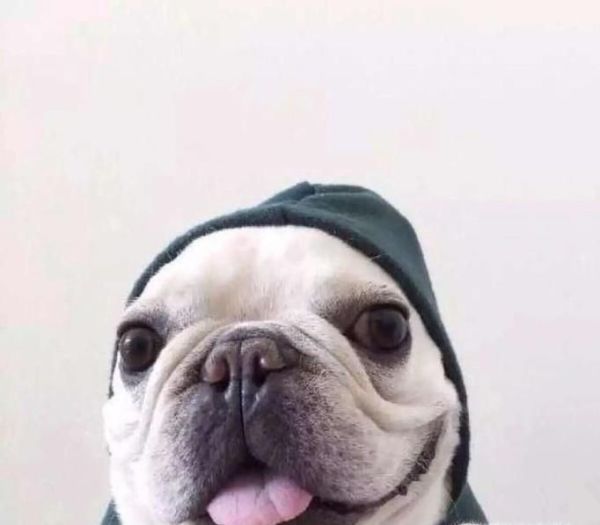 女生微信頭像隱藏著哪些秘密