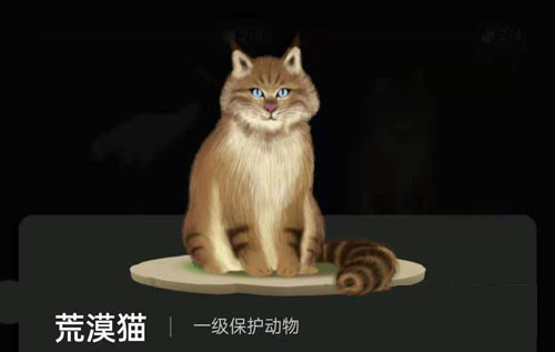 螞蟻森林里的小動物怎么獲得?螞蟻森林里的小動物有哪些?