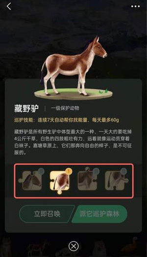 螞蟻森林里的小動物怎么獲得?螞蟻森林里的小動物有哪些?