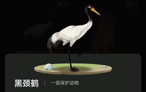 螞蟻森林里的小動物怎么獲得?螞蟻森林里的小動物有哪些?