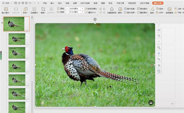 怎么更改PPT母版背景圖片？PPT母版背景圖片修改教程