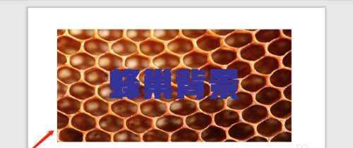 WPS怎么將字體的背景設置為蜂巢？