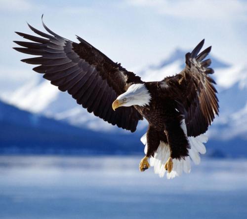 2021年4月30日支付寶螞蟻莊園最新答案!螞蟻莊園小課堂4.30今日最新答案