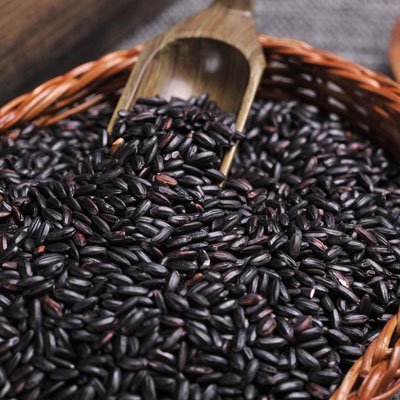 2021年4月30日支付寶螞蟻莊園最新答案!螞蟻莊園小課堂4.30今日最新答案