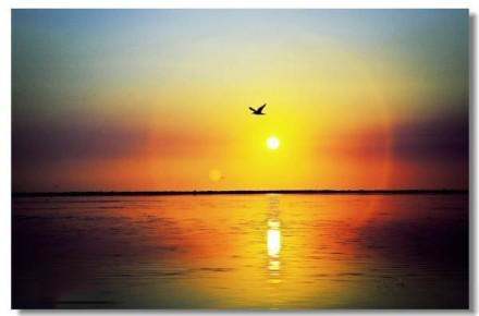 2021年4月28日螞蟻莊園最新答案！支付寶螞蟻莊園小課堂今日最新答案