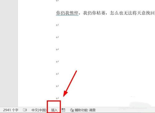 WPS文檔編輯時(shí)吞字怎么辦?