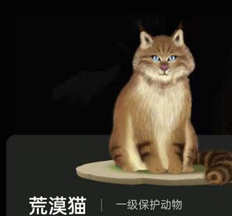 螞蟻森林巡護動物有什么用?支付寶螞蟻森林巡護動物怎么召回