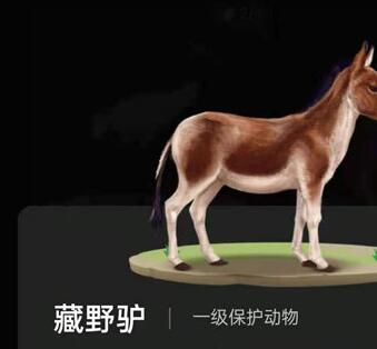 螞蟻森林巡護動物有什么用?支付寶螞蟻森林巡護動物怎么召回