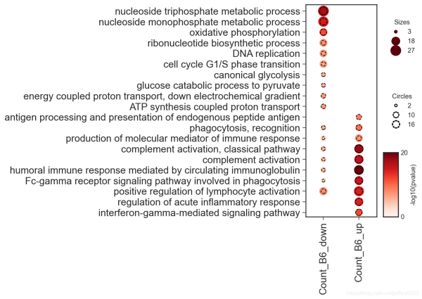 教你怎么用python繪制dotplot