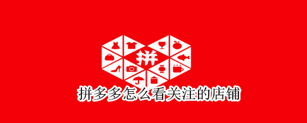 拼多多怎么看關注的店鋪