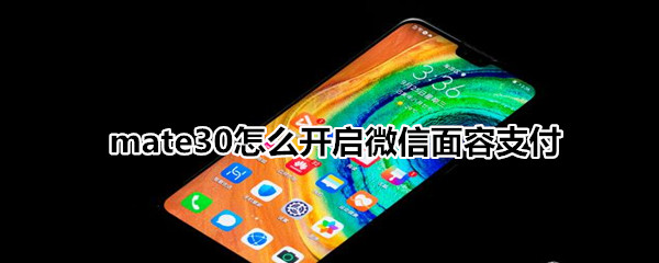 mate30怎么開啟微信面容支付