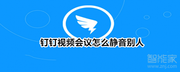釘釘視頻會(huì)議怎么靜音別人